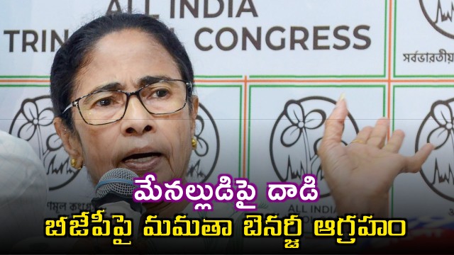 Abhishek Banerjee Attacked Mamata Blames BJP