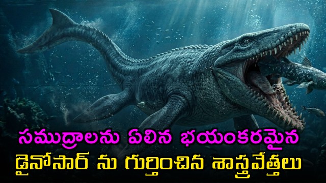 Tylosaurus Rex Scientists Identify Terrifying Sea Dinosaur