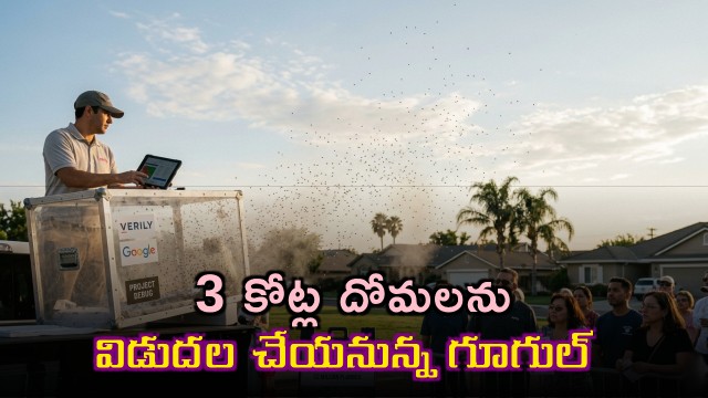 Google Seeks Approval to Release 30 Million Mosquitoes