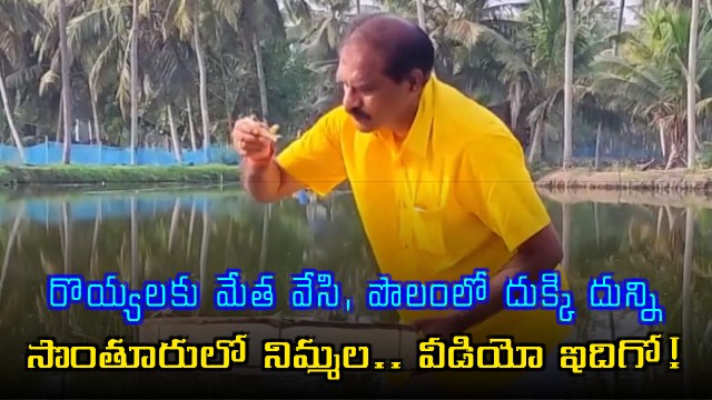 Nimmala Ramanayudu Minister Turns Farmer in Native Village