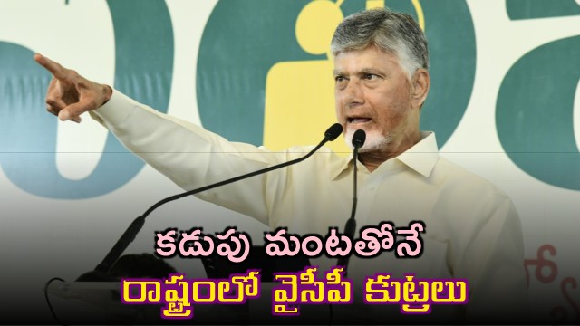 Chandrababu Naidu Fires at YSRCP Conspiracy in Tuni Meeting