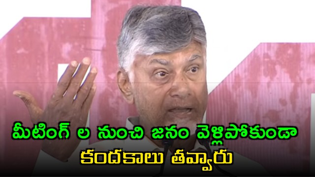 Chandrababu Naidu Slams Previous Government at Chamavaram Meeting