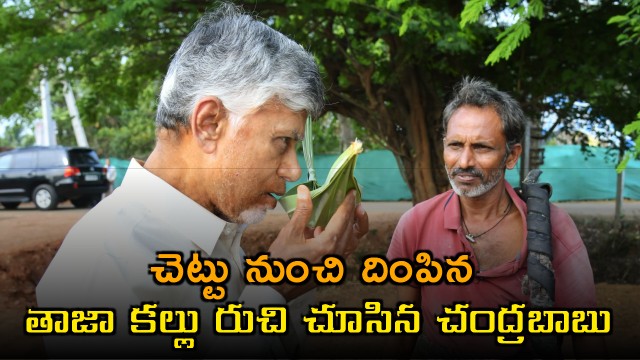 Chandrababu Naidu Tastes Fresh Toddy in Kakinada District