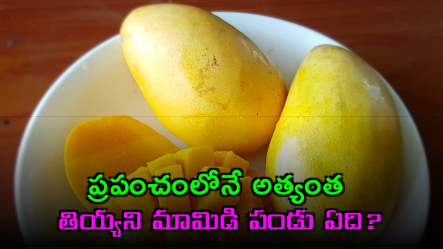 Which Mango Variety Is Sweetest In The World