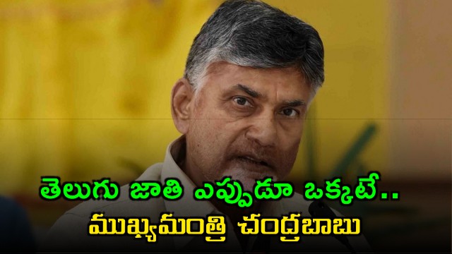 Chandrababu Naidus Message on Telangana Formation Day