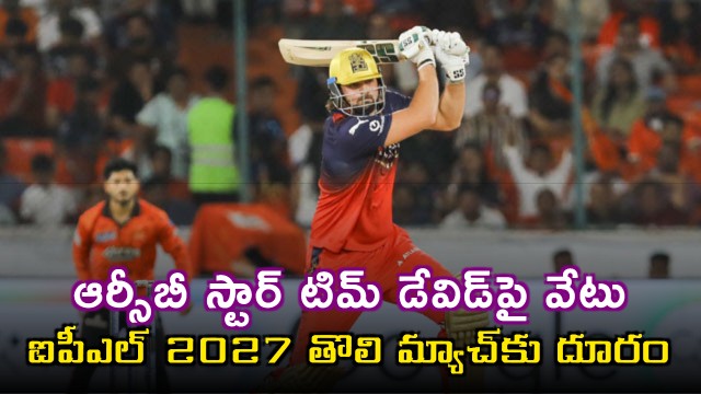 RCB star Tim David fined for throwing ice bag on umpire