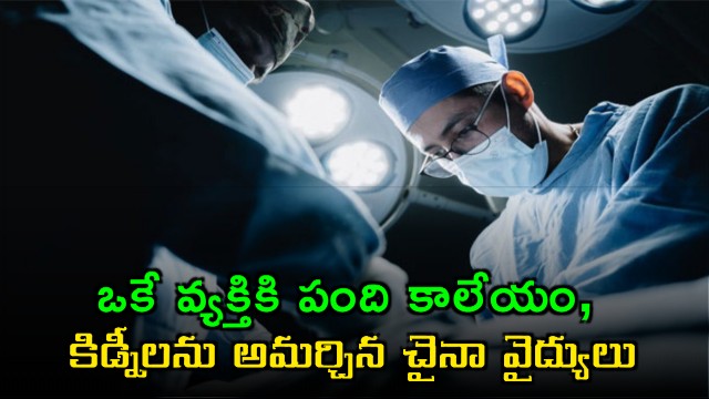 In a first scientists transplanted both a pig liver and kidneys into a person who was brain dead