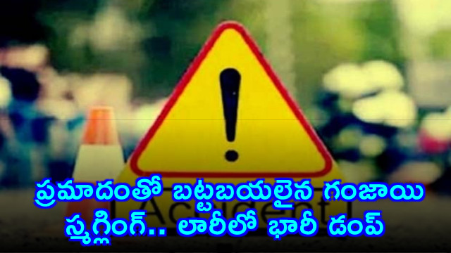 500 kg Ganja Seized Near Ongole After Bike Crash Exposes Interstate Drug Smuggling Operation