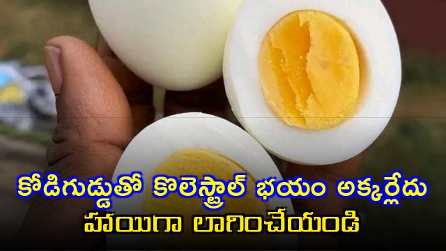 National Egg Day 2026