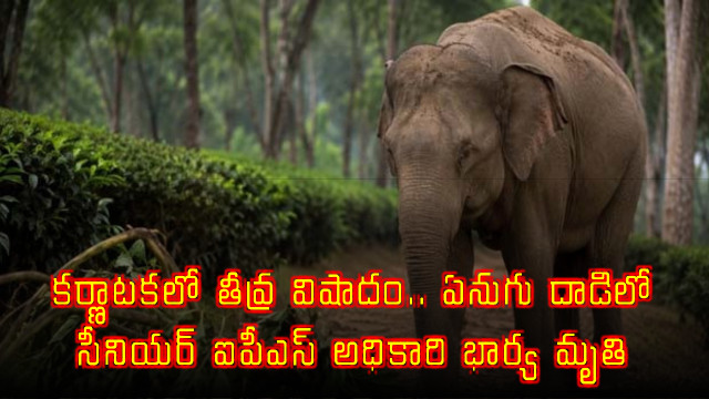 Sandhya Achaya senior IPS officer wife killed in Karnataka elephant attack