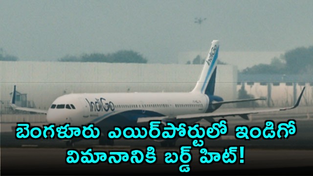 IndiGo flight bird hit at Bengaluru Airport before takeoff