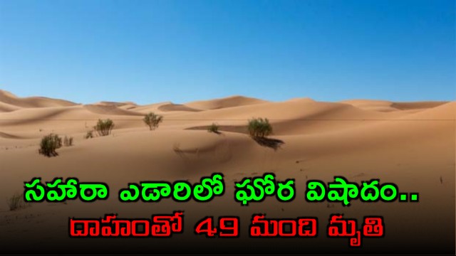 Sahara Desert tragedy 49 people die of thirst in Niger