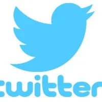 Twitter appointed interim compliance officer