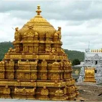 Rs 300 special tickets sells online from today says TTD