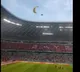 A Greenpeace activist lands at Allianz Arena with a parachute prior to the match between France and Germany in Munich