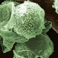 Green fungus case found in Madhya Pradesh