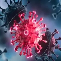 Moscow Strain Of Coronavirus Found In Russia
