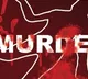 Brothers in Kurnool dist killed