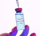 Pfizer and moderna vaccines will have no fertility problems