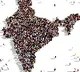 Central Government Released census of 2019