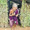 Tribal Woman Girijabai Who lived in Forest about 35 years died