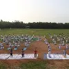 International Yoga Day at Telangana Forest Academy