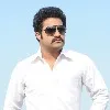 Trivikram and Ntr combo movie is seen soon