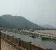 Vamshadhara Tribunal directs AP and Odisha on river water usage