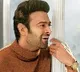 Huge budjet for Radhe Shyam settings