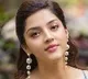 Gopichand Malineni movie update