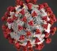 AP Second Wave Covid health bulletin