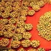 Sugar free mangoes in Pakistan