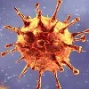 Huge decline in AP Corona positive cases number