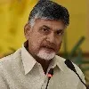 TDP to take up Sadhana deeksha tomorrow