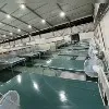 Mumbai Builds Jumbo Covid Center in Record Time