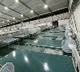 Mumbai Builds Jumbo Covid Center in Record Time