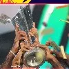 ICC T20 World Cup shifted to UA and Oman