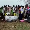 Bodies of Five Members of Tribal FamilyMissing for Weeks Exhumed from MP Farm