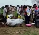 Bodies of Five Members of Tribal FamilyMissing for Weeks Exhumed from MP Farm