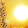 Over 240 Died in Canada Over Heat Wave