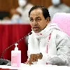 CM KCR comments on AP projects