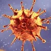 AP Covid cases and deaths bulletin