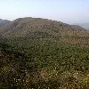 Boy missing in Nellore district Penusila reserve forest