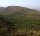 Boy missing in Nellore district Penusila reserve forest