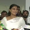 YS Sharmila prayers at YSR Ghat in Idupulapaya