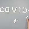 There is no evidence on corona virus birth in labs