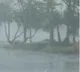 Heavy to Very Heavy Rains forecast today and tomorrow in Telangana