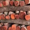 Madanapalle police seize over Rs 6 crore worth Red sandalwood in tamilnadu