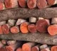 Madanapalle police seize over Rs 6 crore worth Red sandalwood in tamilnadu