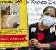 Cat missing in Hyderabad